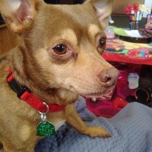 Meet your Posher, Judy